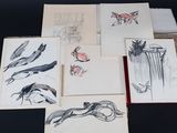 several drawings of birds and other animals are on a table