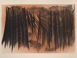 a black and white drawing of a forest with trees in the background