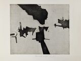 black and white photograph of a group of birds flying in the sky