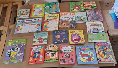 de nombreux livres pour enfants posés sur la table, dans la boîte