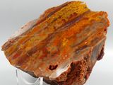 a close up of a piece of rock on a clear stand