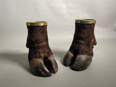 paire de pattes d'ours brun avec des bordures en laiton sur fond blanc