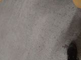 Photo 3/8 du lot