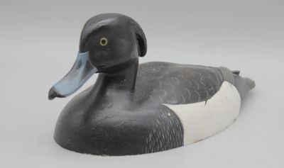 un canard noir et blanc qui est posé par terre