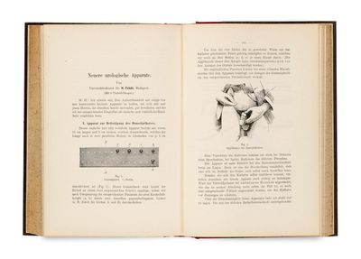 an open book with a drawing of a horse on it ' s cover