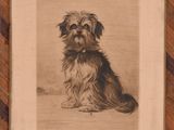 une vieille photo représentant un chien assis devant un cadre en bois