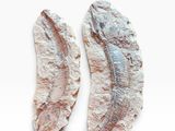 deux morceaux de poisson posés sur une surface blanche