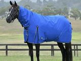 un cheval noir, recouvert d'une couverture bleue, debout dans un champ