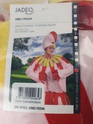 a picture of a woman in a costume that is on display