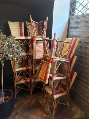 beaucoup de chaises et une plante en pot dans un coin de la pièce