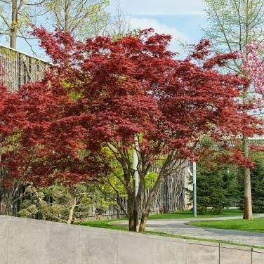 Destockage & Invendus