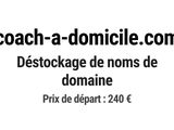 Photo 1/1 du lot