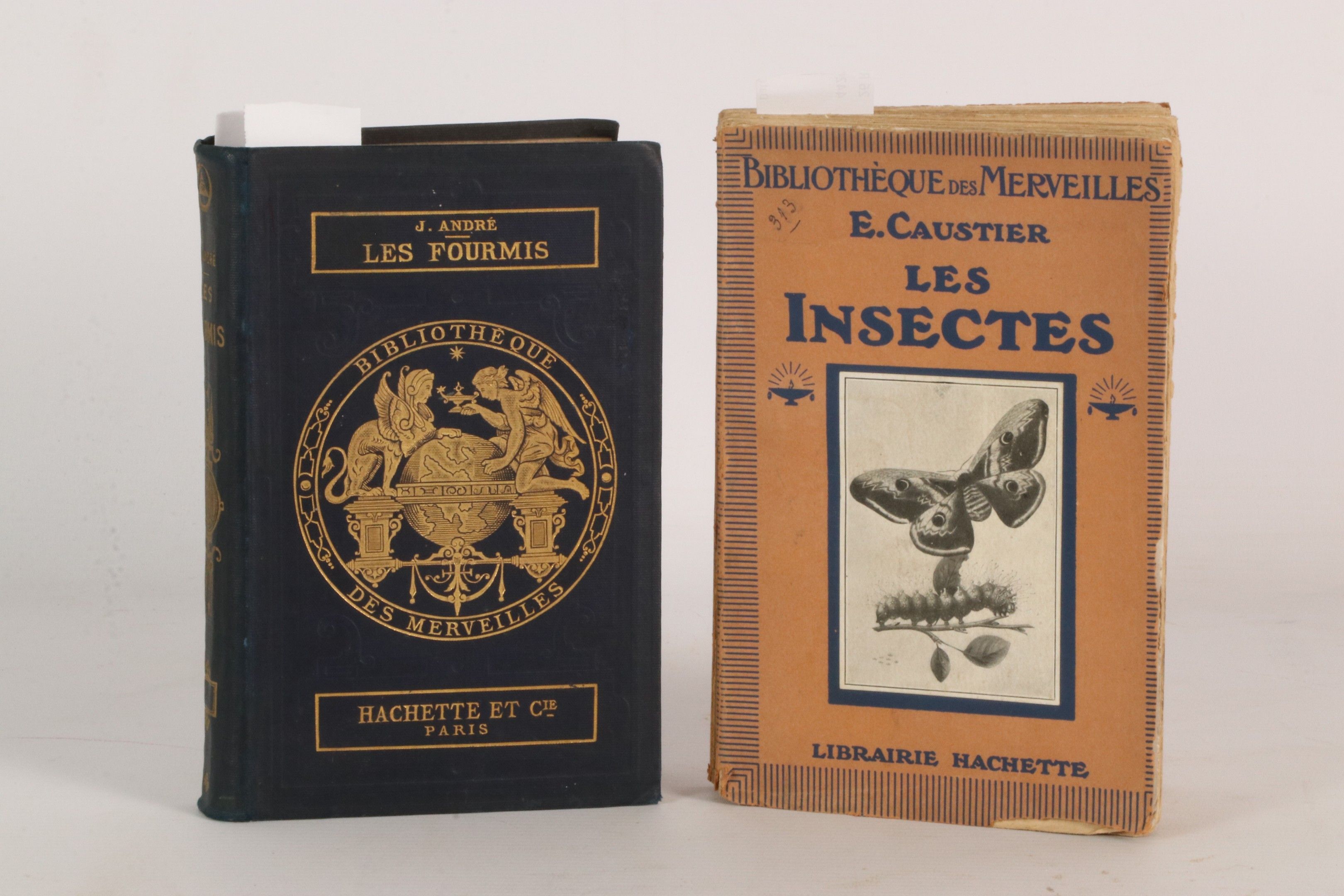 [ENTOMOLOGIE, ENFANTINA] Bibliothèque des Merveilles. Réunio…