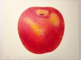 peinture représentant une pomme rouge au cœur jaune sur fond blanc