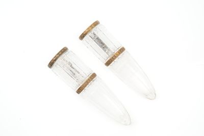 une paire de bouchons en verre transparent et en bois sur fond blanc