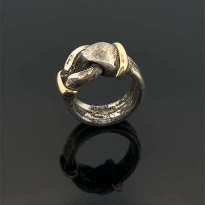 un gros plan d'une bague en argent ornée d'une tête de cheval