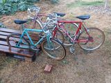 many bikes that are sitting on a bench in the grass