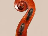 a close up of the back of a violin