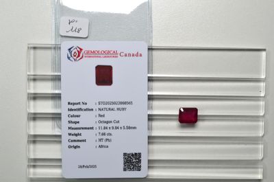 la carte est fixée au mur à l'aide d'un bouton rouge