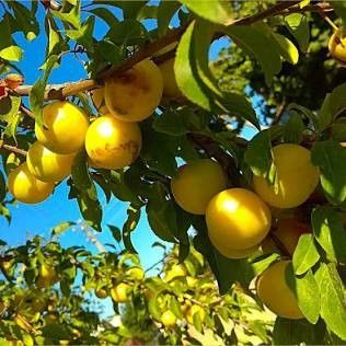 Destockage & Invendus