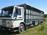 a truck that is parked in the grass