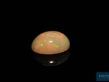 un gros plan d'un oplite blanc sur une surface noire