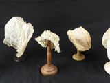 quatre chapeaux blancs sont alignés sur des supports en bois, sur un fond noir