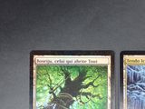 two cards are sitting next to each other on a table