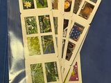 une série de timbres sur un dossier bleu