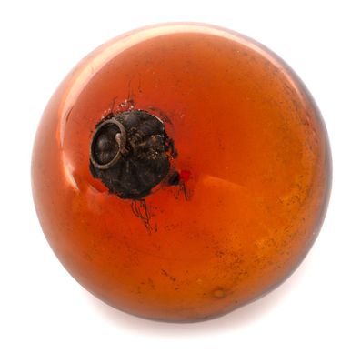 a close up of an orange with a hole in it