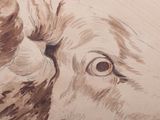 a drawing of a cow ' s face on a piece of paper