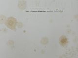 a picture of a piece of paper with stains on it