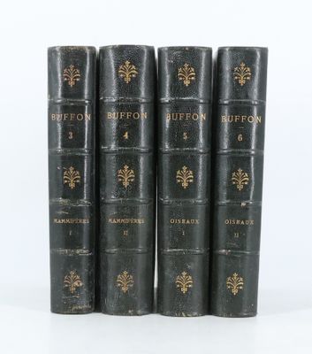 six vieux livres sont alignés sur une surface blanche