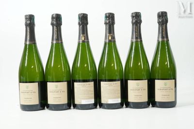 six bouteilles de vin sont alignées sur une surface blanche