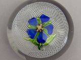 un bol en verre contenant une fleur bleue