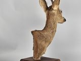 deer head mounted on a wooden block on a white background
