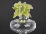a glass vase with a flower in it on a black background