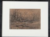 an image of a black and white drawing of a wooded area
