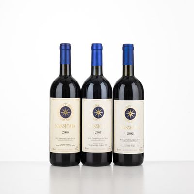 Sassicaia Tenuta San Guido Vertical