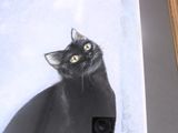 a picture of a black cat that is sitting in a picture frame