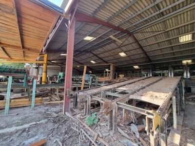un grand entrepôt avec beaucoup de bois au milieu