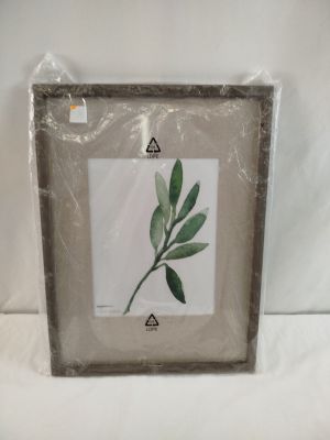 la photo d'une photo représentant une plante dans un cadre