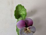 a small purple flower sitting on top of a green leaf