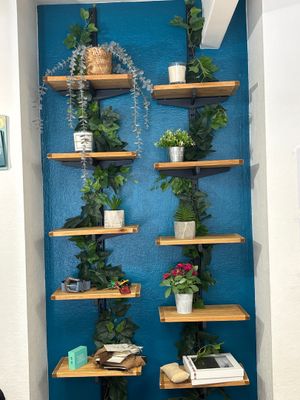 de nombreuses plantes sur les étagères dans le coin de la pièce
