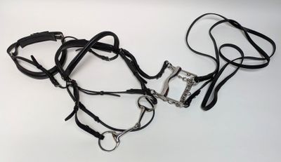 un harnais en cuir noir muni d'une boucle en métal et d'une boucle argentée