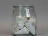 a glass jar with shells in it on a table