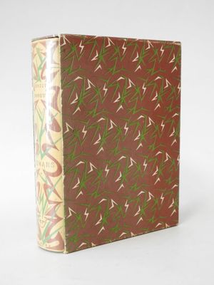 an old book with green and red designs on it
