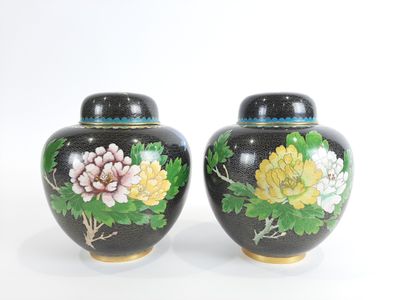 une paire de vases noirs ornés de fleurs peintes sur un fond blanc