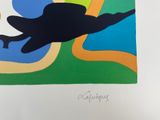 a picture of a frog that is flying in the sky