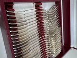 many forks and spoons in a red case on the table